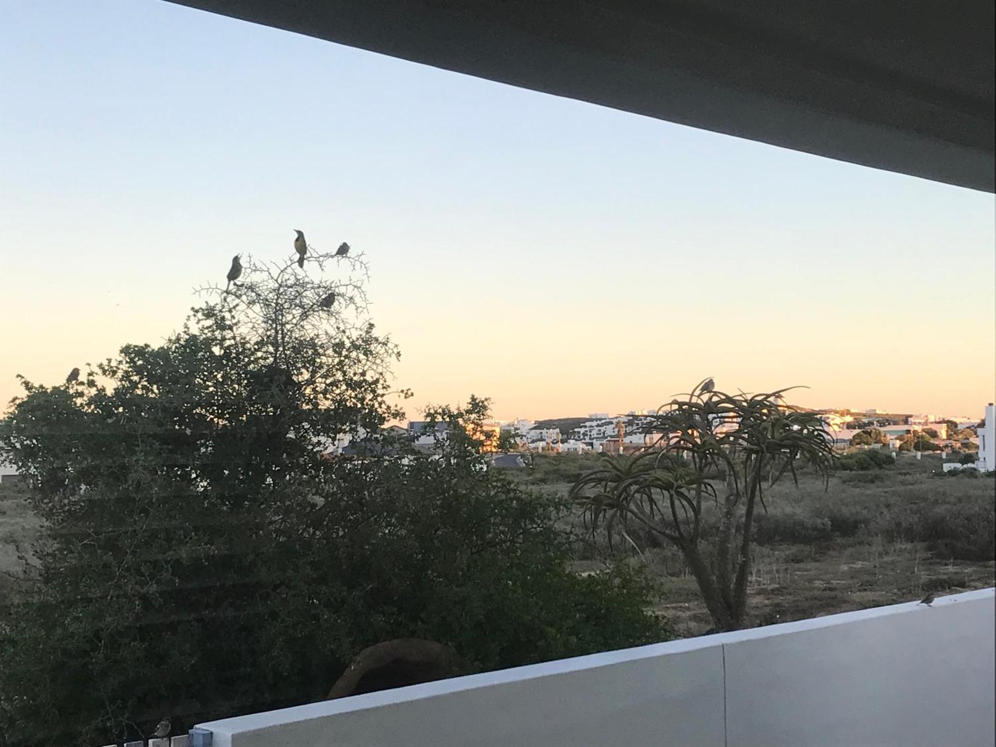 Perfect 10 - 10 To 13 Sleeper Luxury Holiday Home Breakage Deposit Of R2500 Per Weekend Lease Лангебан Екстериор снимка