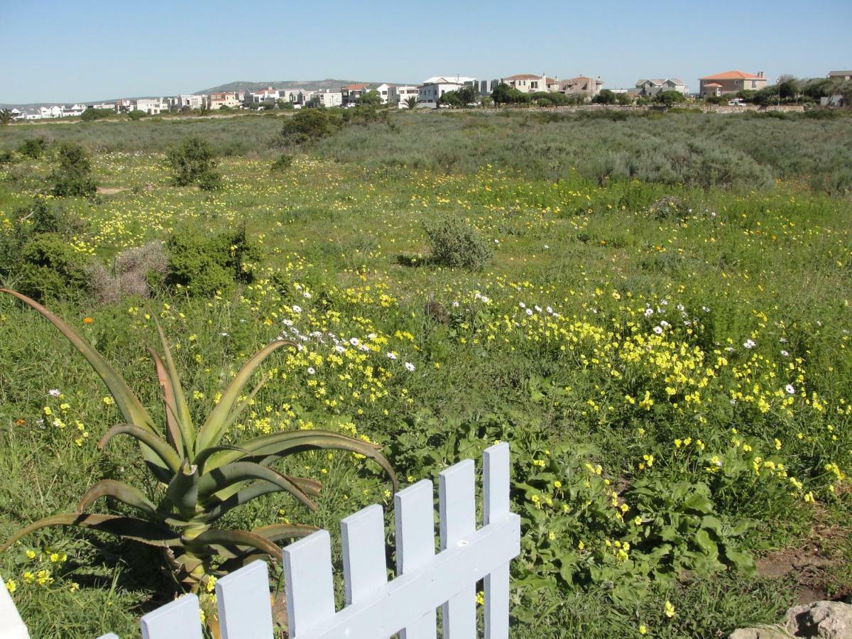 Perfect 10 - 10 To 13 Sleeper Luxury Holiday Home Breakage Deposit Of R2500 Per Weekend Lease Лангебан Екстериор снимка